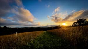 Folk My Life Playlist 32.2025